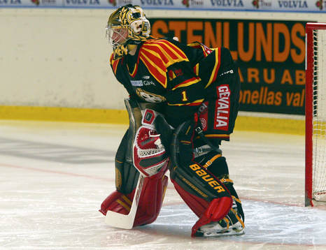 Johan Holmqvist, målvakt, Brynäs