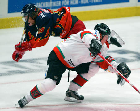 Daniel Tjärnqvist, Djurgården och Shawn Horcoff, Mora