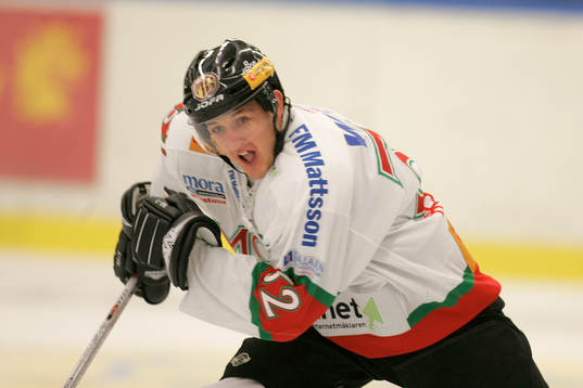 Shawn Horcoff, Mora