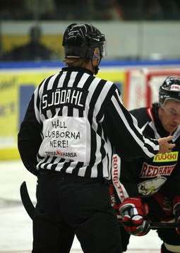 Johan Sjödahl, domare, Trygg Hansa