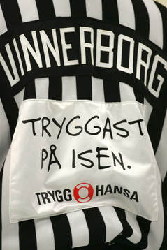 Marcus Vinnerborg, domare, Trygg Hansa