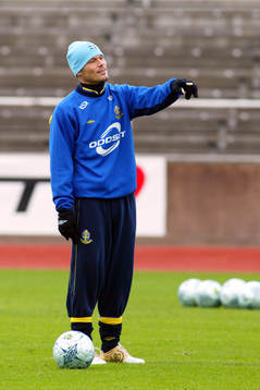 Fredrik Ljungberg, Sverige