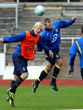 Petter Hansson och Olof Mellberg, Sverige