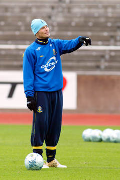 Fredrik Ljungberg, Sverige