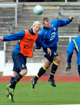 Petter Hansson och Olof Mellberg, Sverige