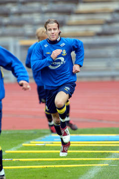 Pontus Farnerud, Sverige