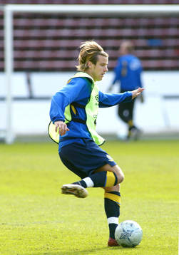 Pontus Farnerud, Sverige