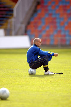 Fredrik Ljungberg, Sverige