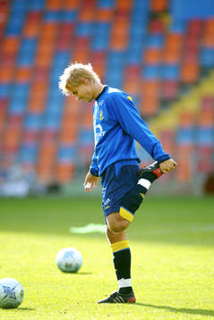 Niclas Alexandersson, Sverige