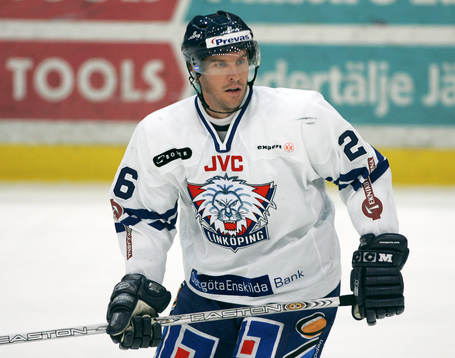 Michael Knuble, Linköping