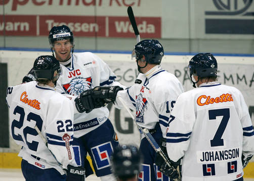 Michael Knuble, Linköping