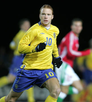 Alexander Farnerud, Sverige