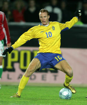 Alexander Farnerud, Sverige