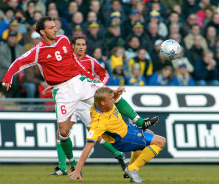 Marcus Allbäck, Sverige