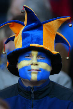 Supporter, Sverige