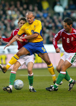 Fredrik Ljungberg, Sverige