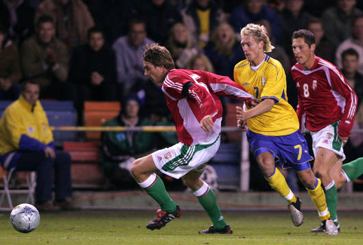 Christian Wilhelmsson, Sverige