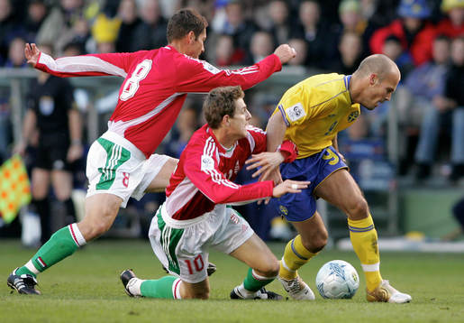 Fredrik Ljungberg, Sverige
