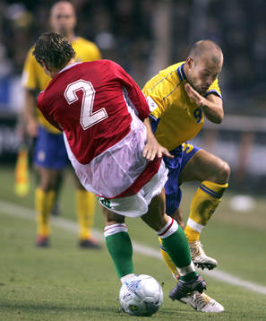 Fredrik Ljungberg, Sverige