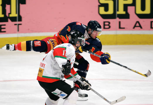 Nils Ekman, Djurgården
