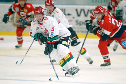 Daniel och Henrik Sedin, Modo och Dick Tärnström,