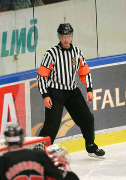 Ulf Rönnmark, domare