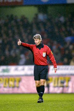 Peter Fröjdfeldt, Domare