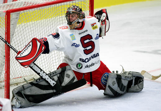 Ishockey, Elitserien, Rastislav Stana, målvakt,
