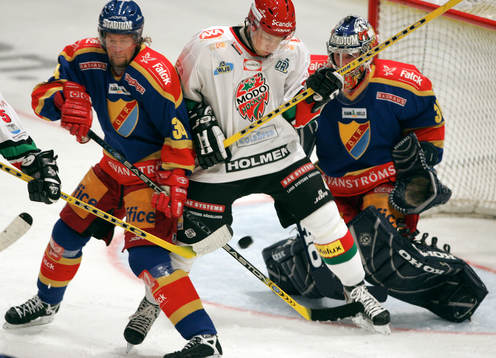 Daniel Tjärnqvist, Djurgården, Mattias Wennerberg, Modo