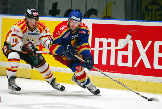 Mariusz Cherkawski, Djurgården och Sebastian Sulku, Brynäs
