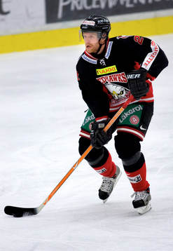 David Petrasek