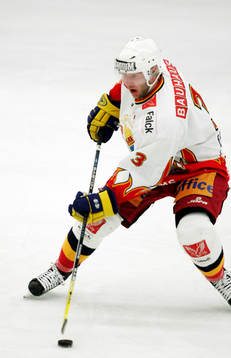 Ishockey, Elitserien, Nils Ekman, Djurgården