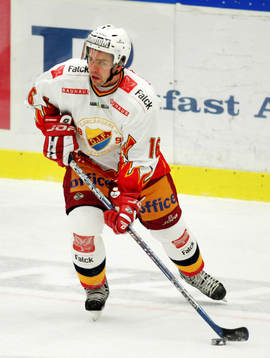 Ishockey, Elitserien, Nichlas Falk, Djurgården