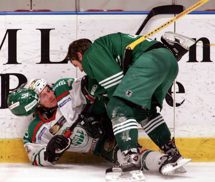 Daniel Josefsson, Rögle och Johan Lindström, Hammarby,