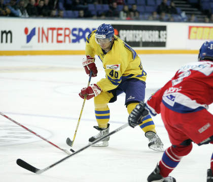Henrik Zetterberg, Sverige