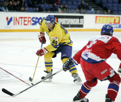 Henrik Zetterberg, Sverige