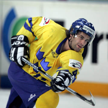 Henrik Zetterberg, Sverige