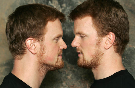 Henrik Sedin och Daniel Sedin, Sverige
