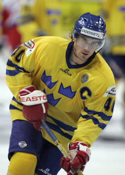 Henrik Zetterberg, Sverige