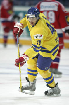 Henrik Zetterberg, Sverige