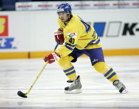 Henrik Zetterberg, Sverige