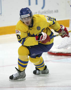 Henrik Zetterberg, Sverige