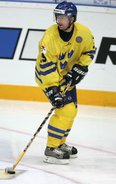 Thomas Rhodin, Sverige