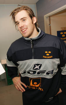 Henrik Zetterberg, Sverige