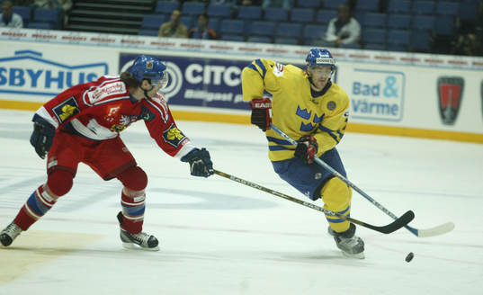 Henrik Zetterberg, Sverige