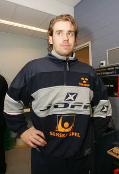 Henrik Zetterberg, Sverige