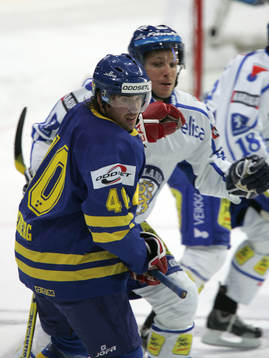 Henrik Zetterberg, Sverige