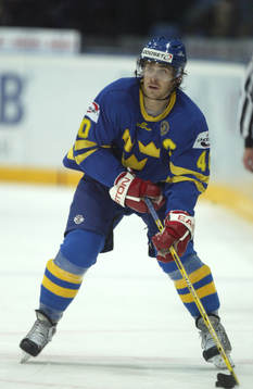 Henrik Zetterberg, Sverige