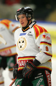 Henrik Malmström, Brynäs