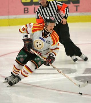 Sebastian Sulku, Brynäs